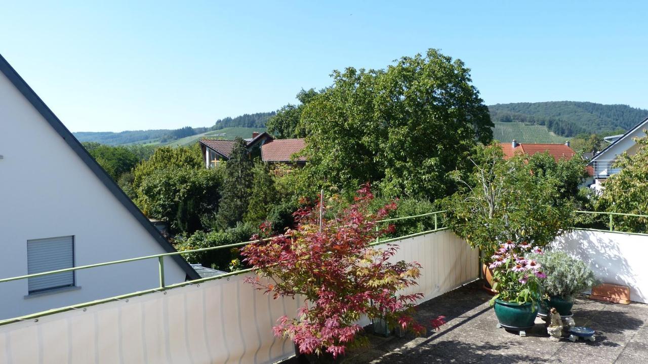 Eifelidylle Am Moselmaareradweg Apartment Wittlich